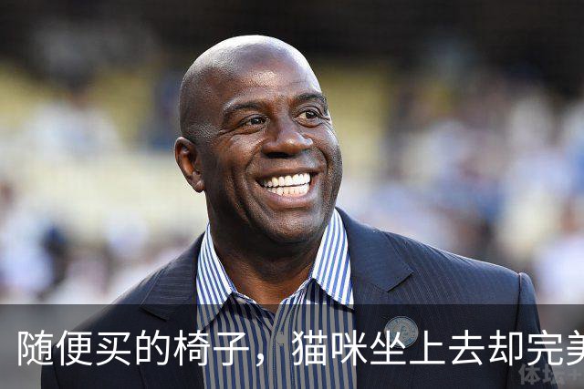 随便买的椅子，猫咪坐上去却完美契合，还以为是量身定做的！